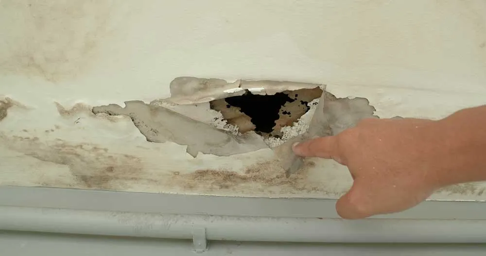 Inspector pointing to structural water damage
