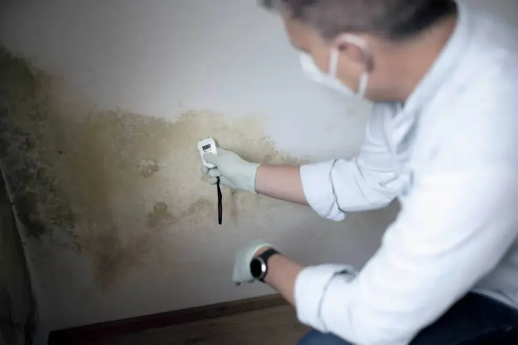 Mold remediation professional testing wet spot on wall for mold